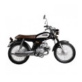 Victor-R Classic 100