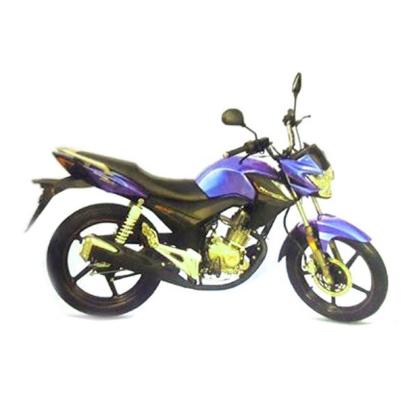 Roadmaster Velocity 100