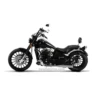 Regal Raptor Daytona 150